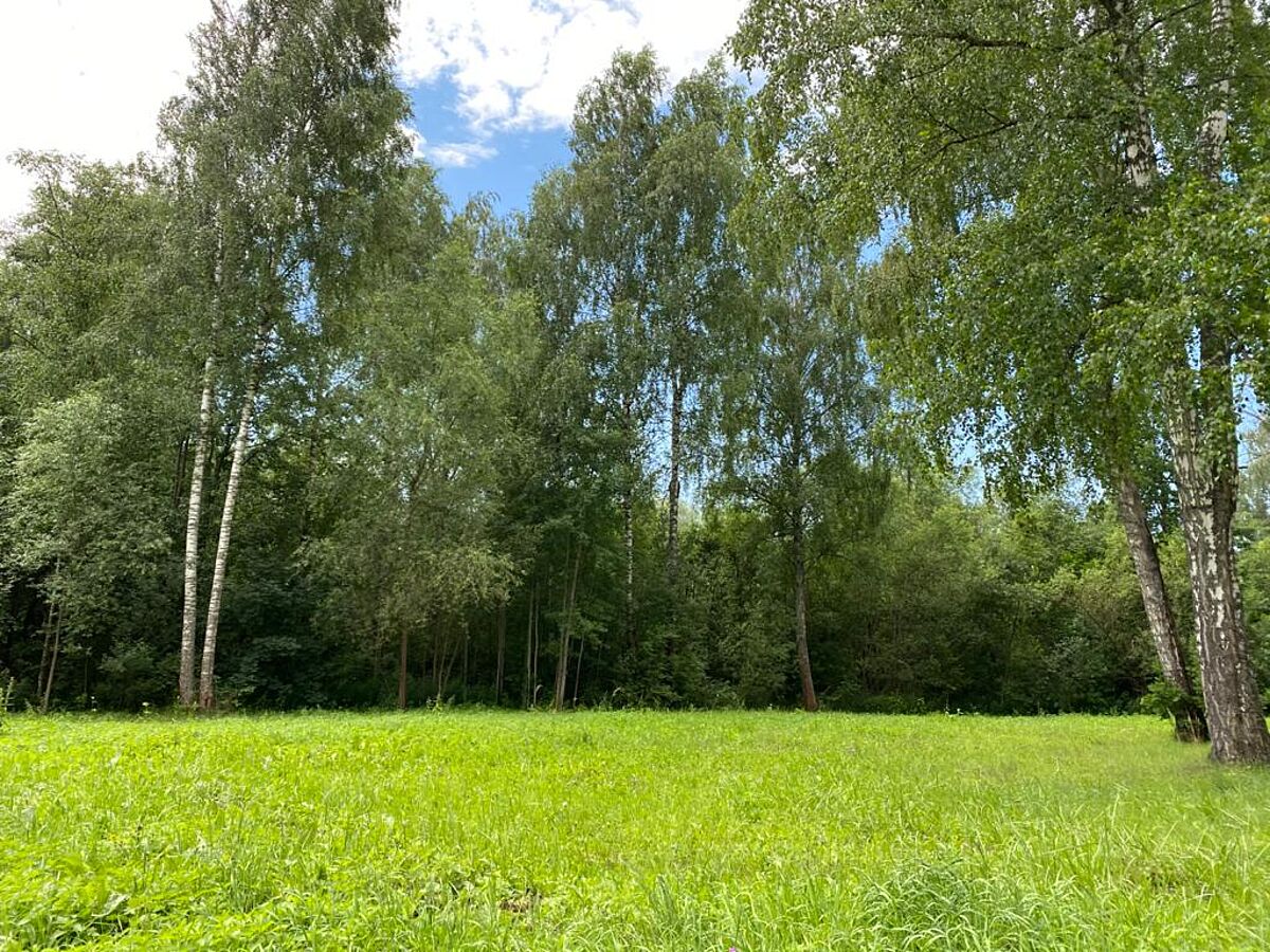 Выбранное изображение