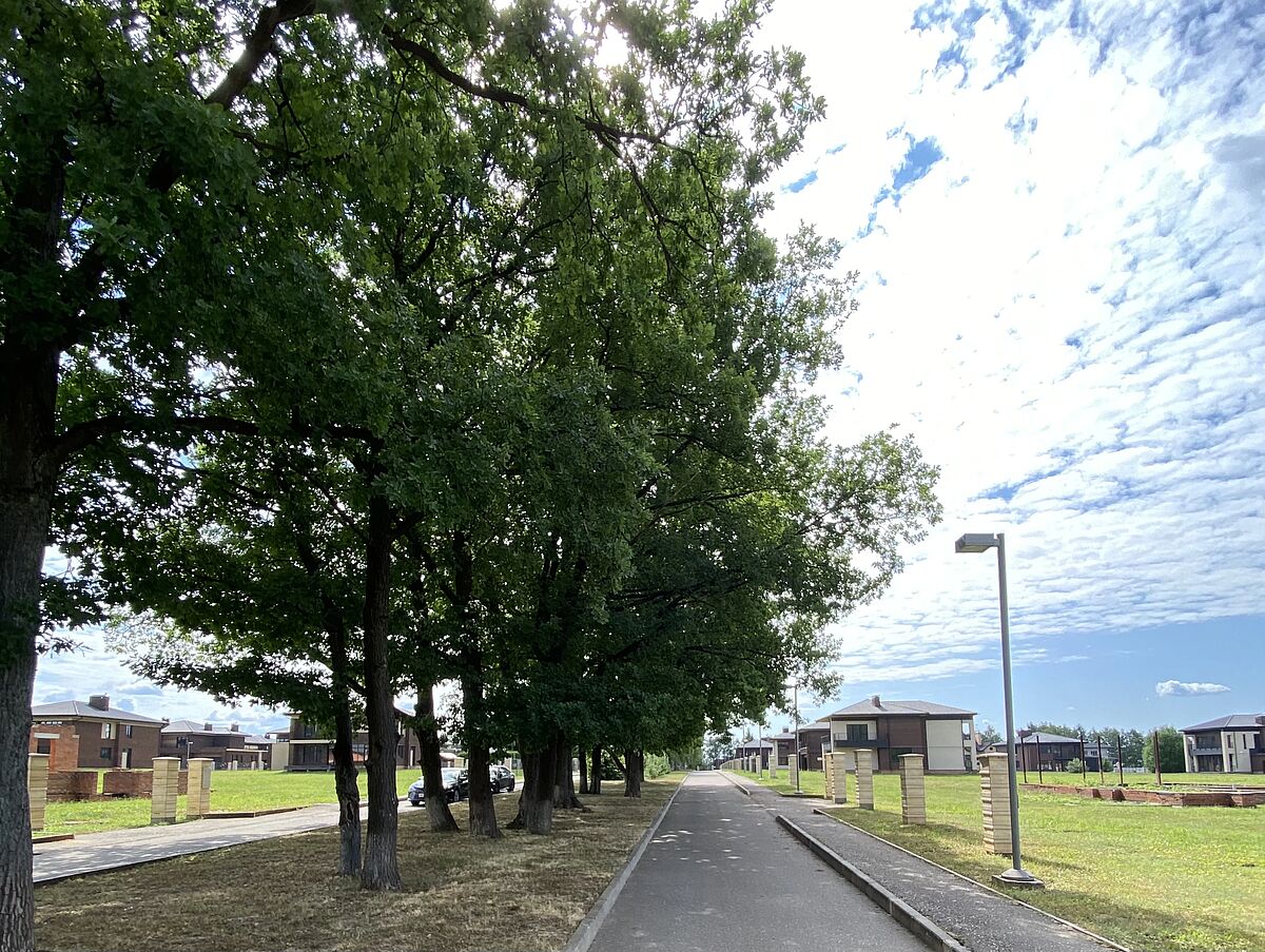 Изображение из списка