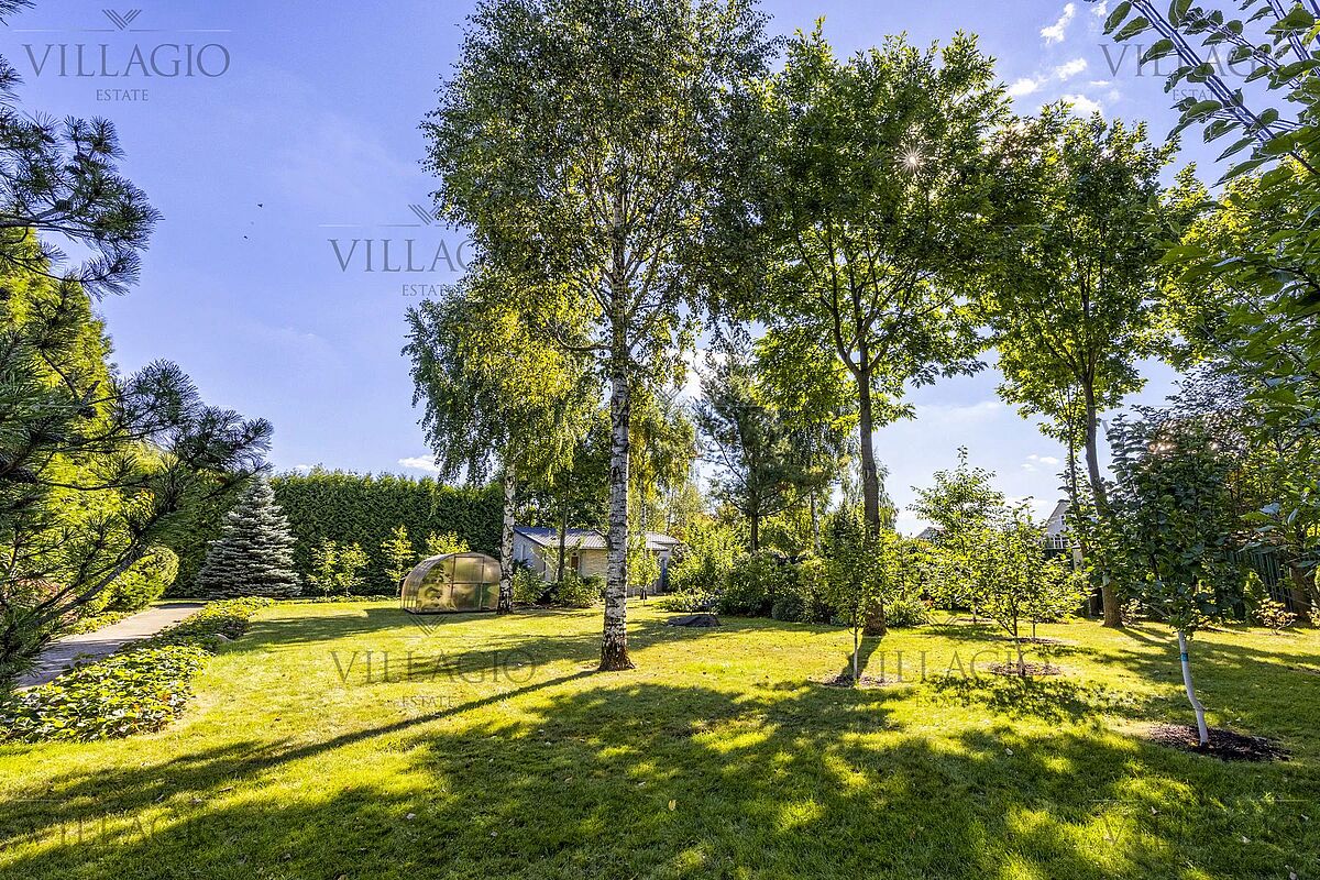 Изображение из списка