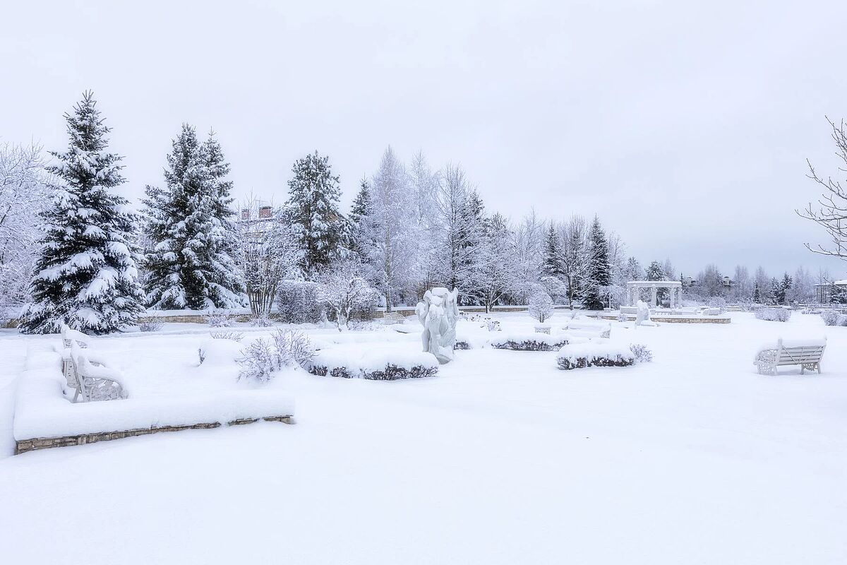 Изображение из списка