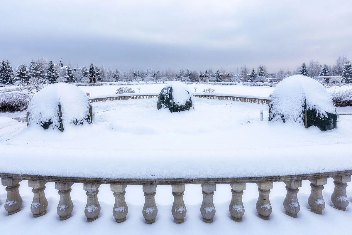 Выбранное изображение