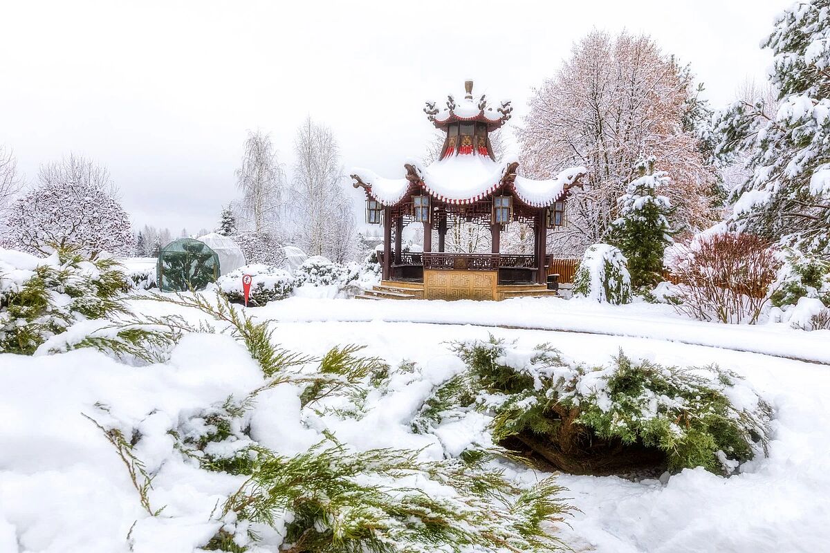 Изображение из списка