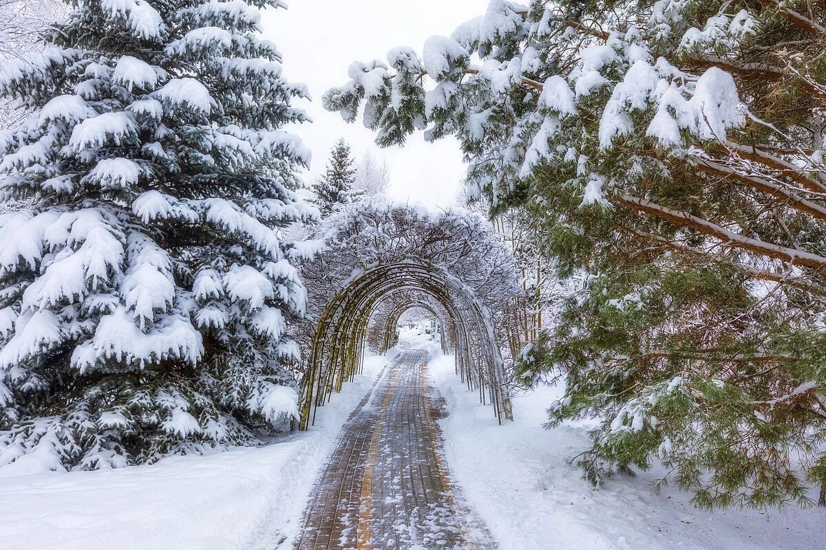 Изображение из списка