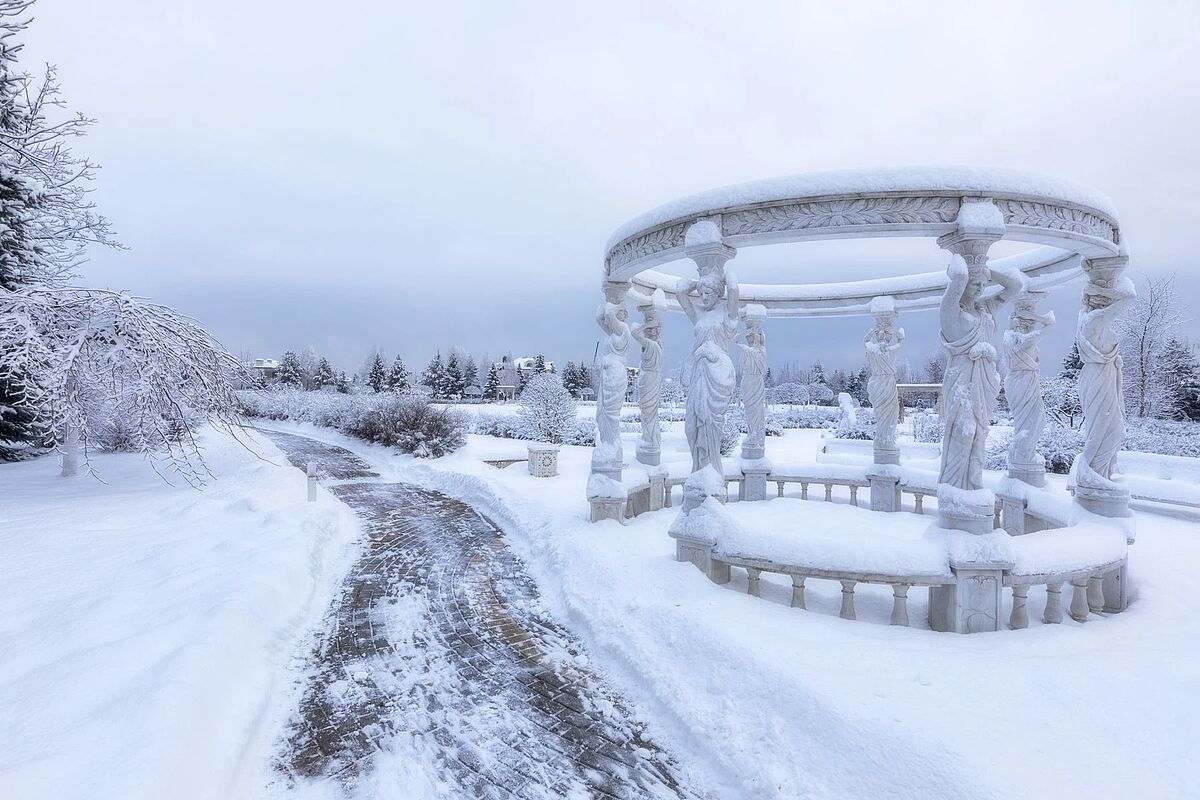 Выбранное изображение