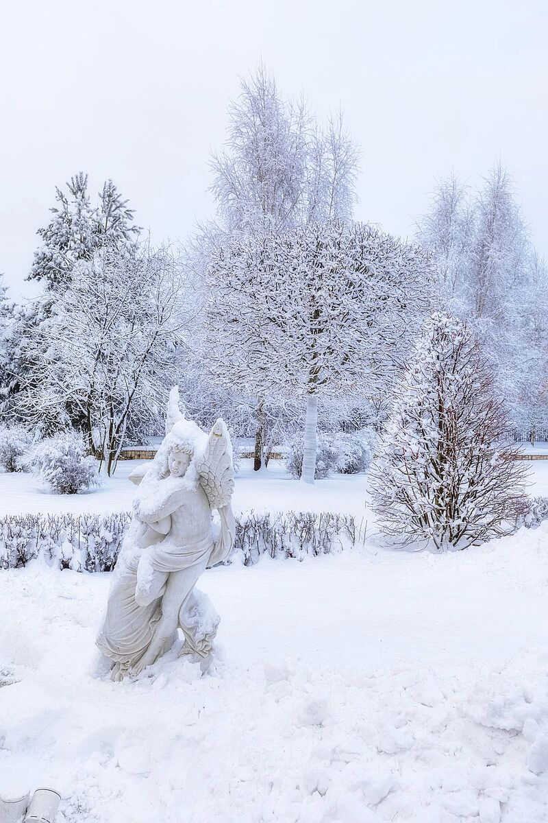 Выбранное изображение