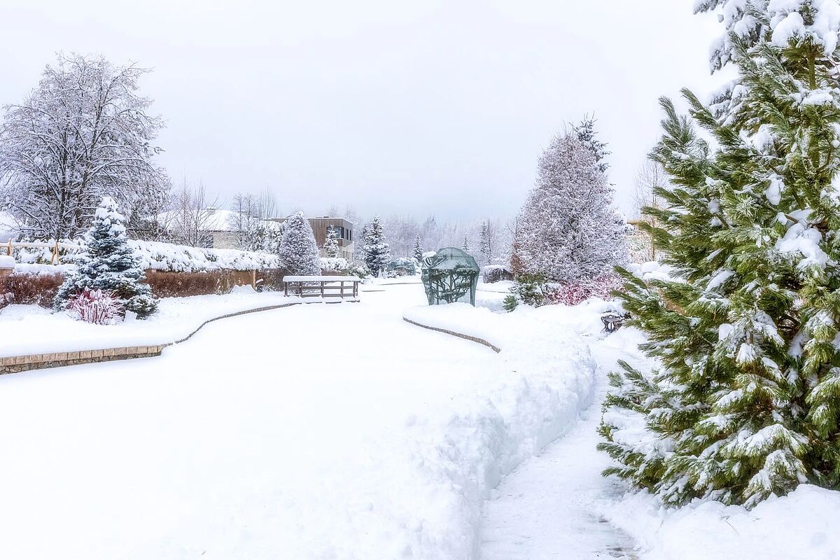 Изображение из списка