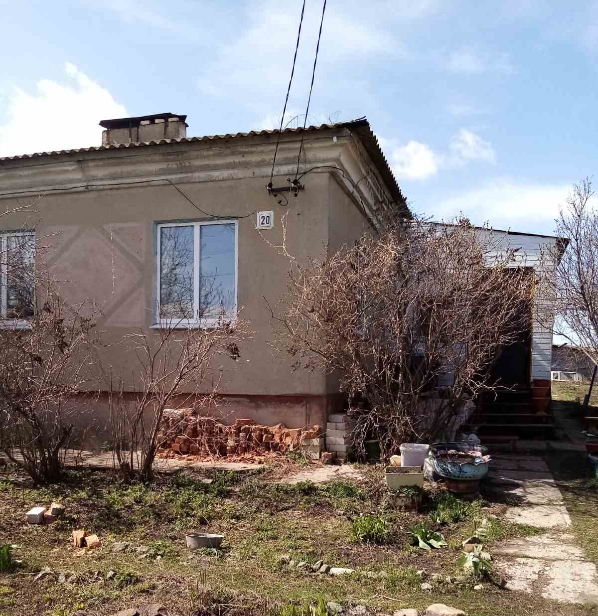 Выбранное изображение