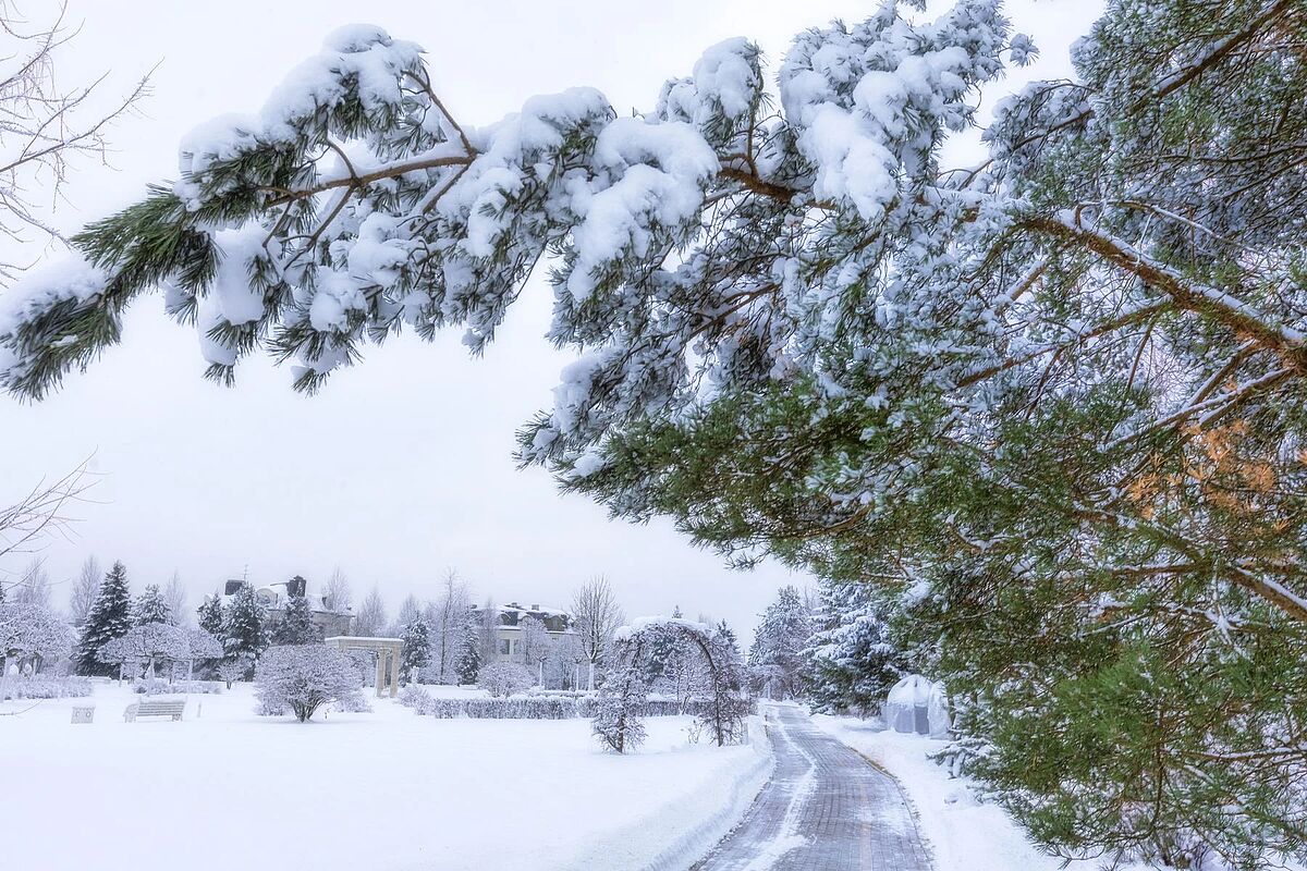 Изображение из списка
