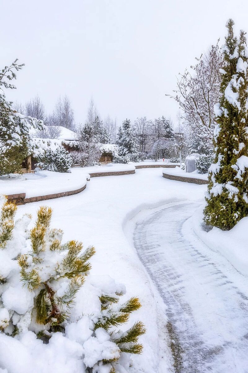 Изображение из списка