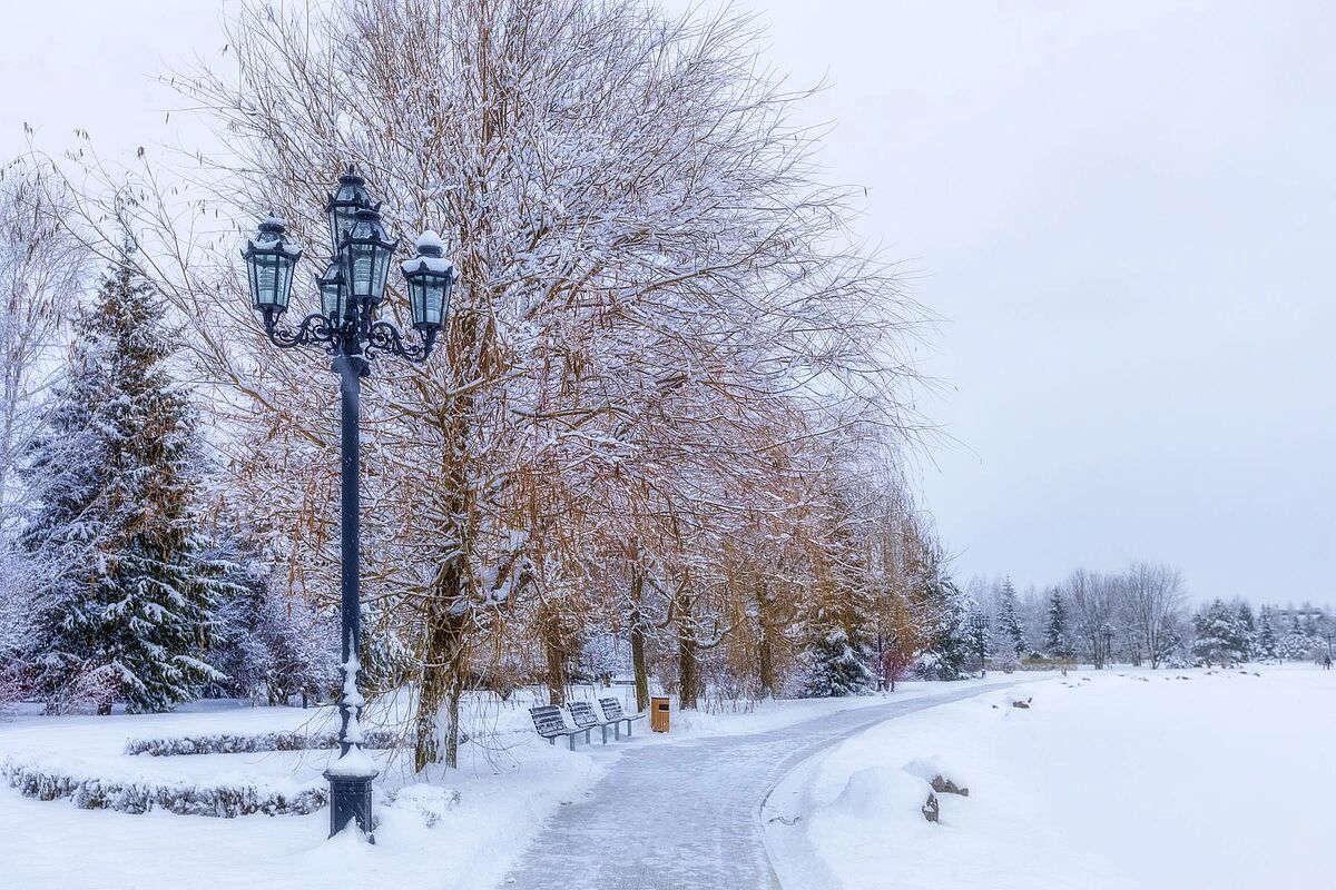 Изображение из списка