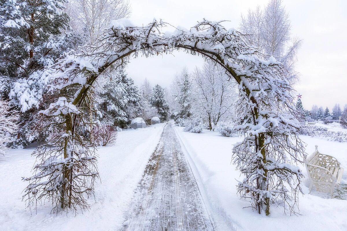 Изображение из списка