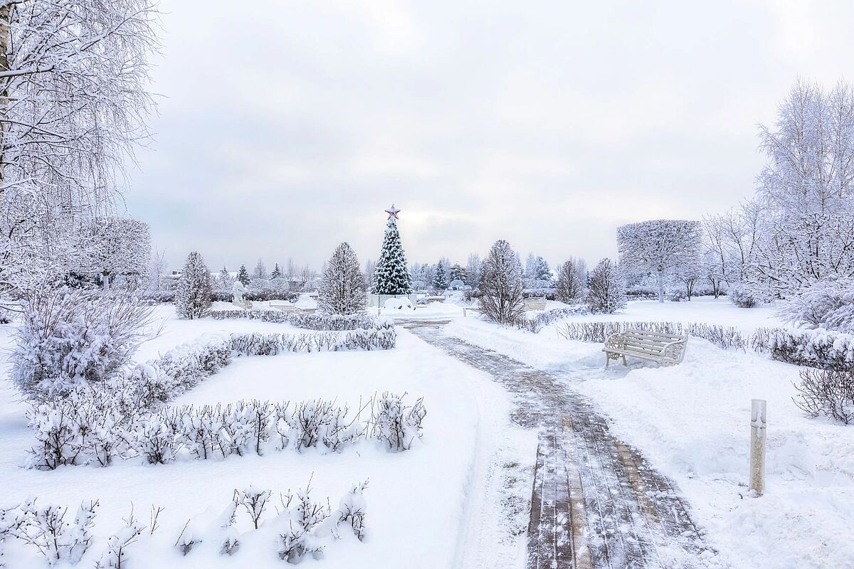 Изображение из списка