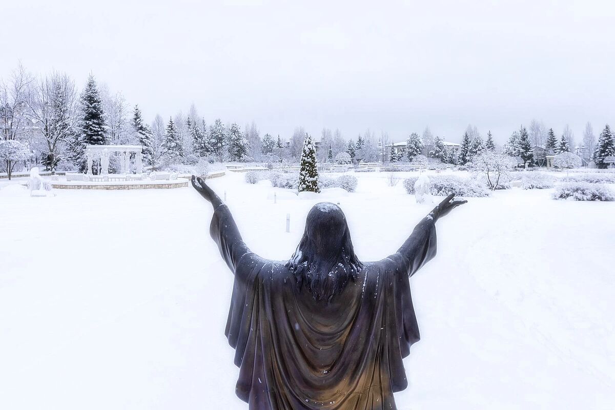 Выбранное изображение