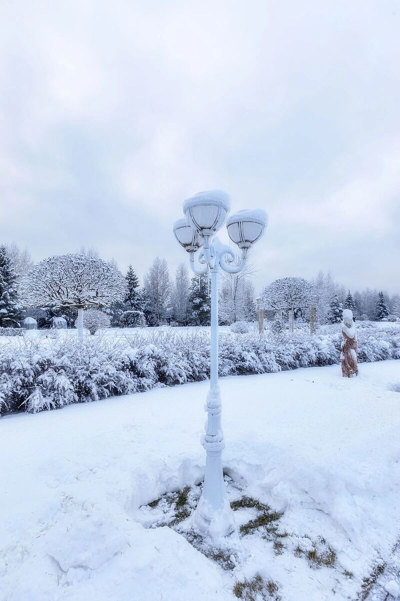 Изображение из списка