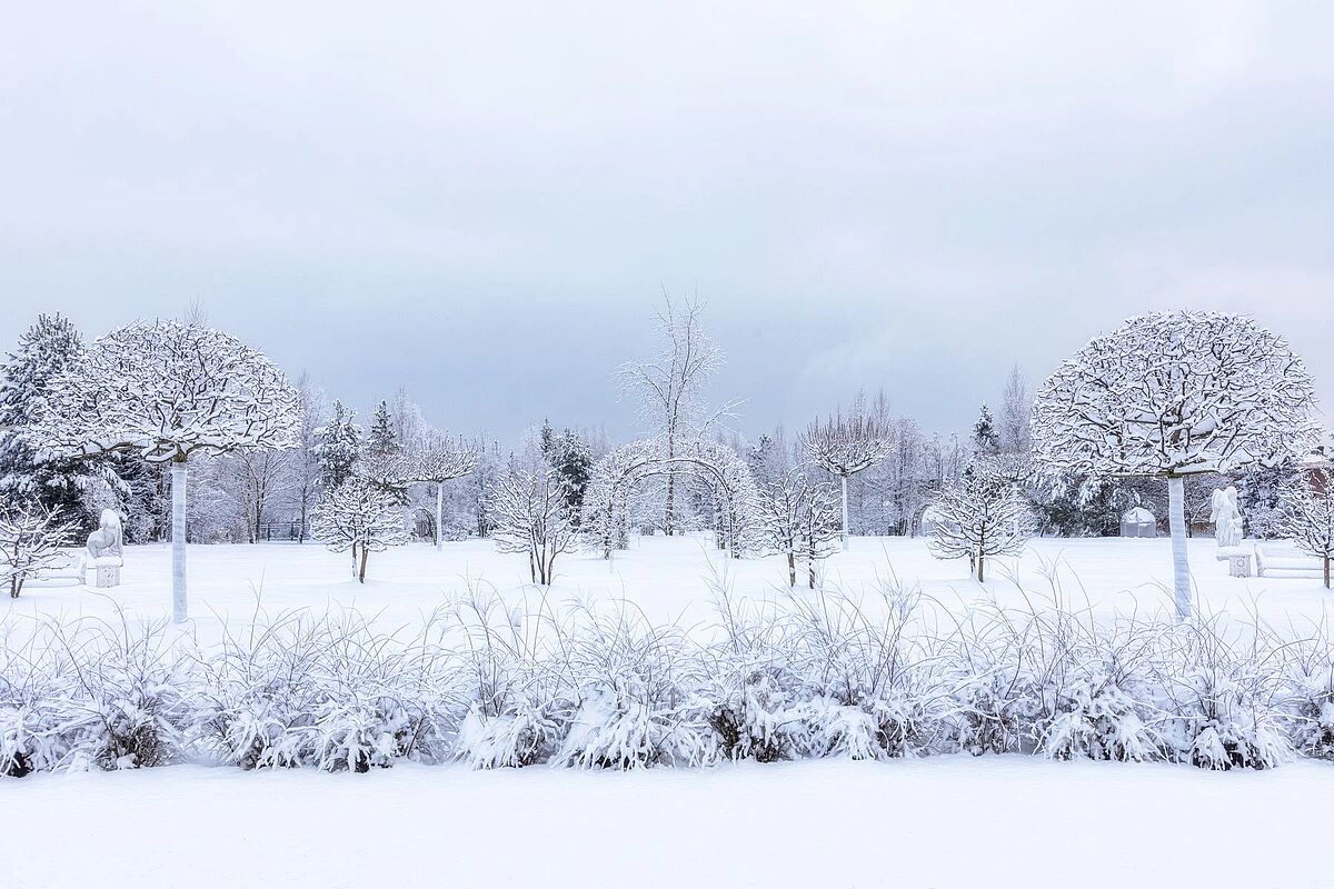 Изображение из списка