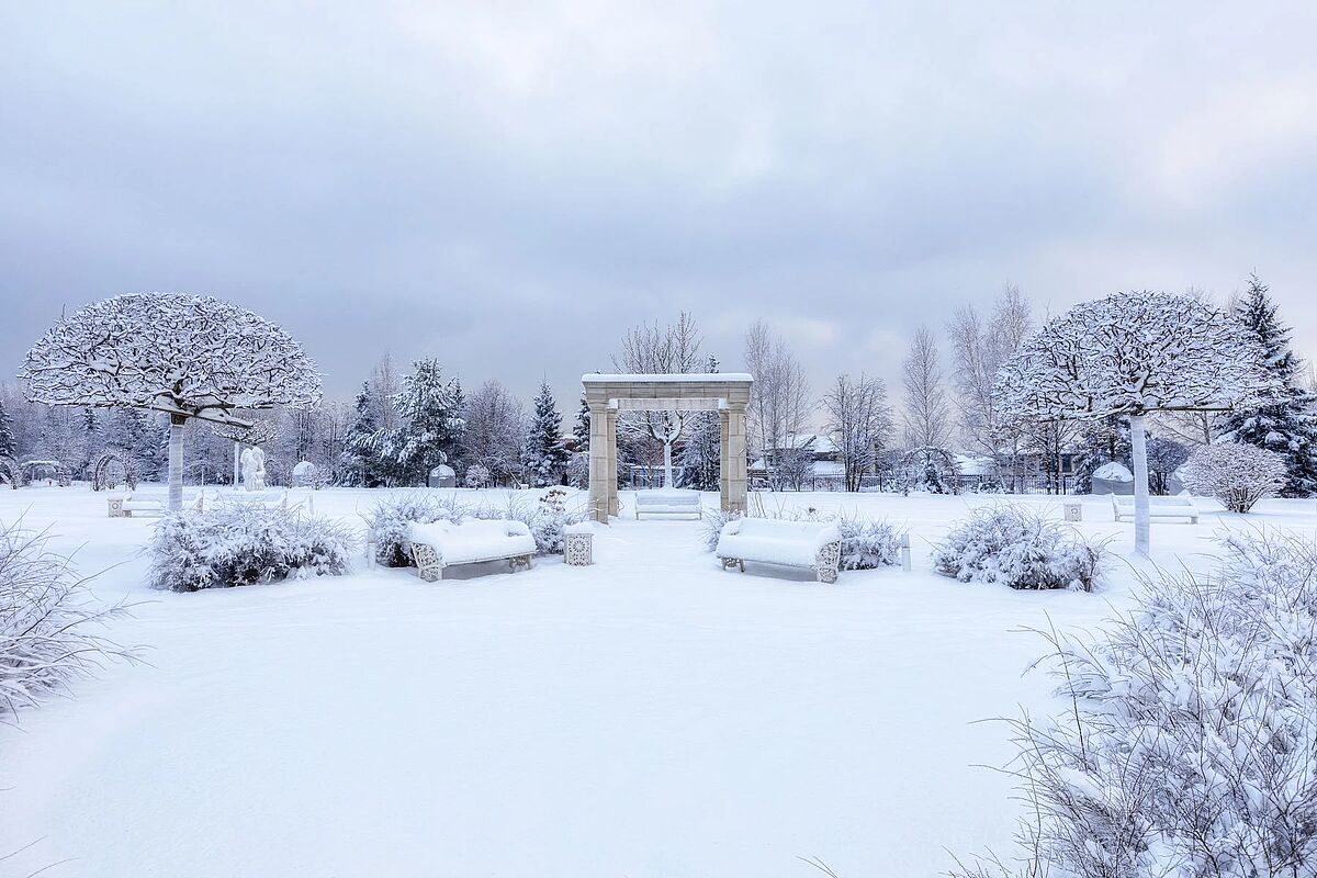 Изображение из списка