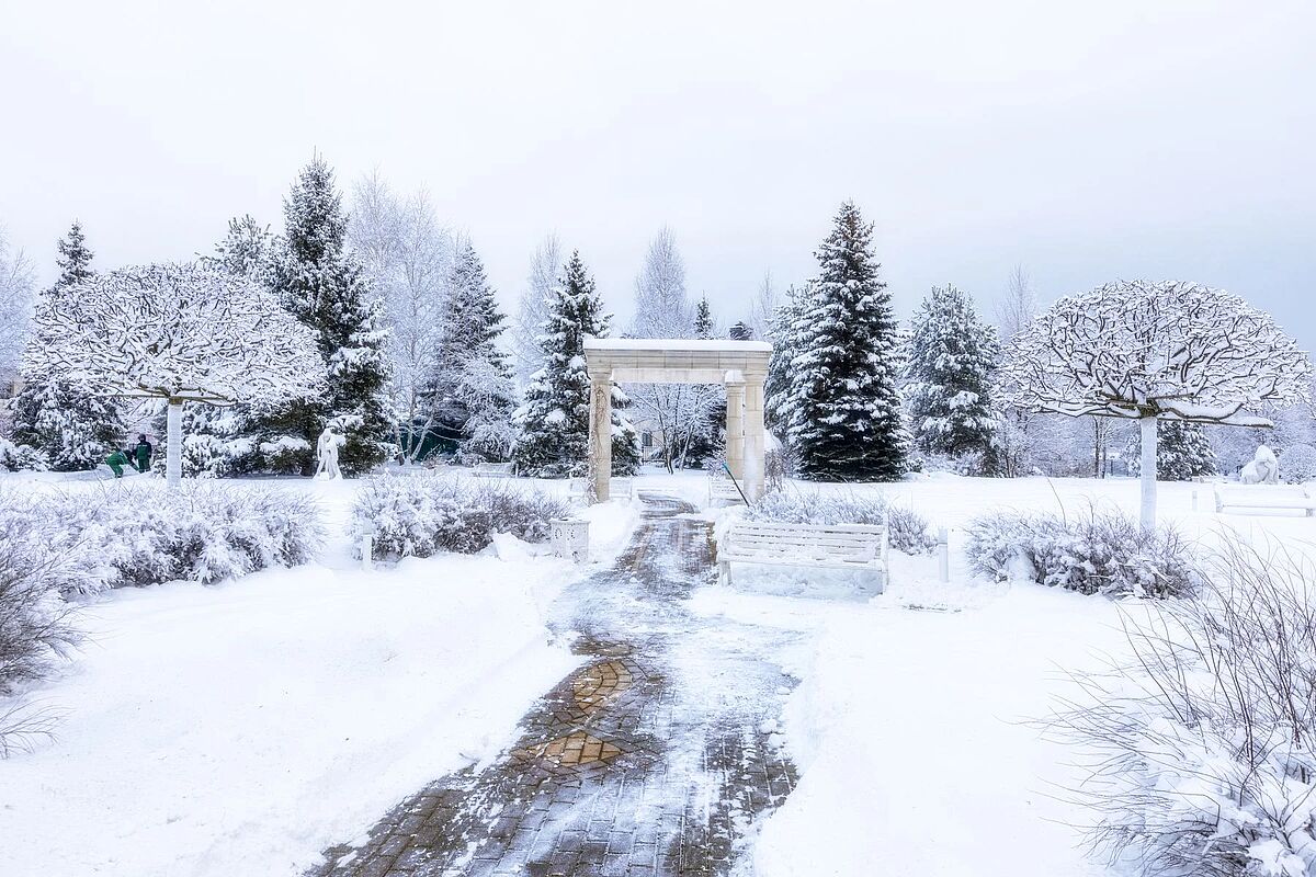 Изображение из списка