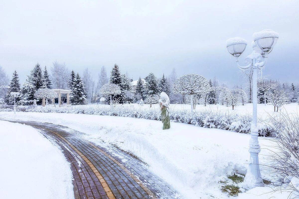Выбранное изображение