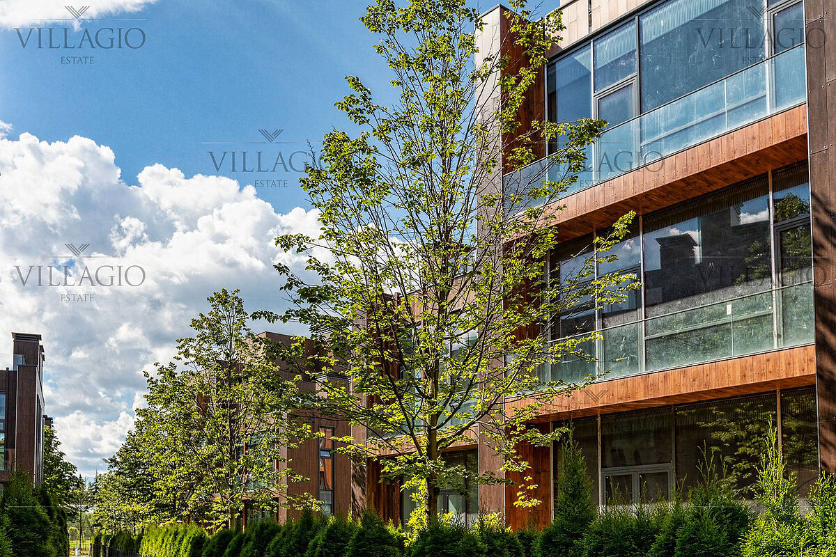 Изображение из списка