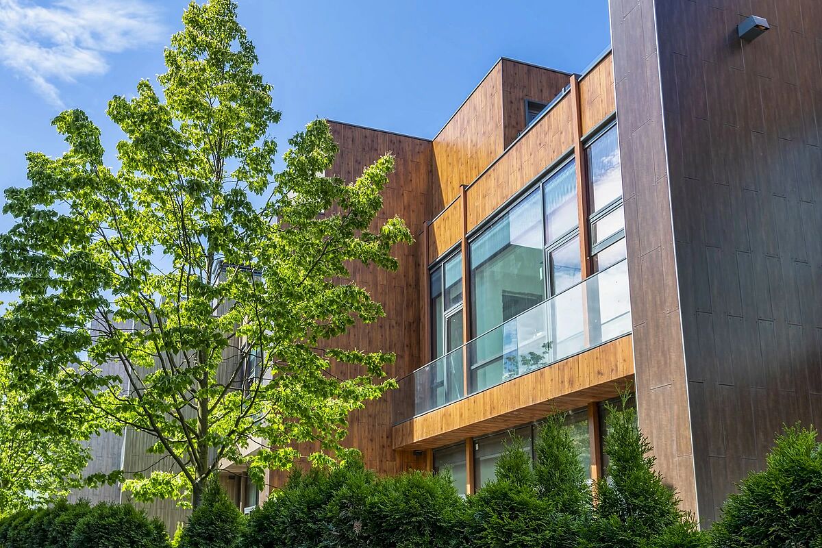 Выбранное изображение