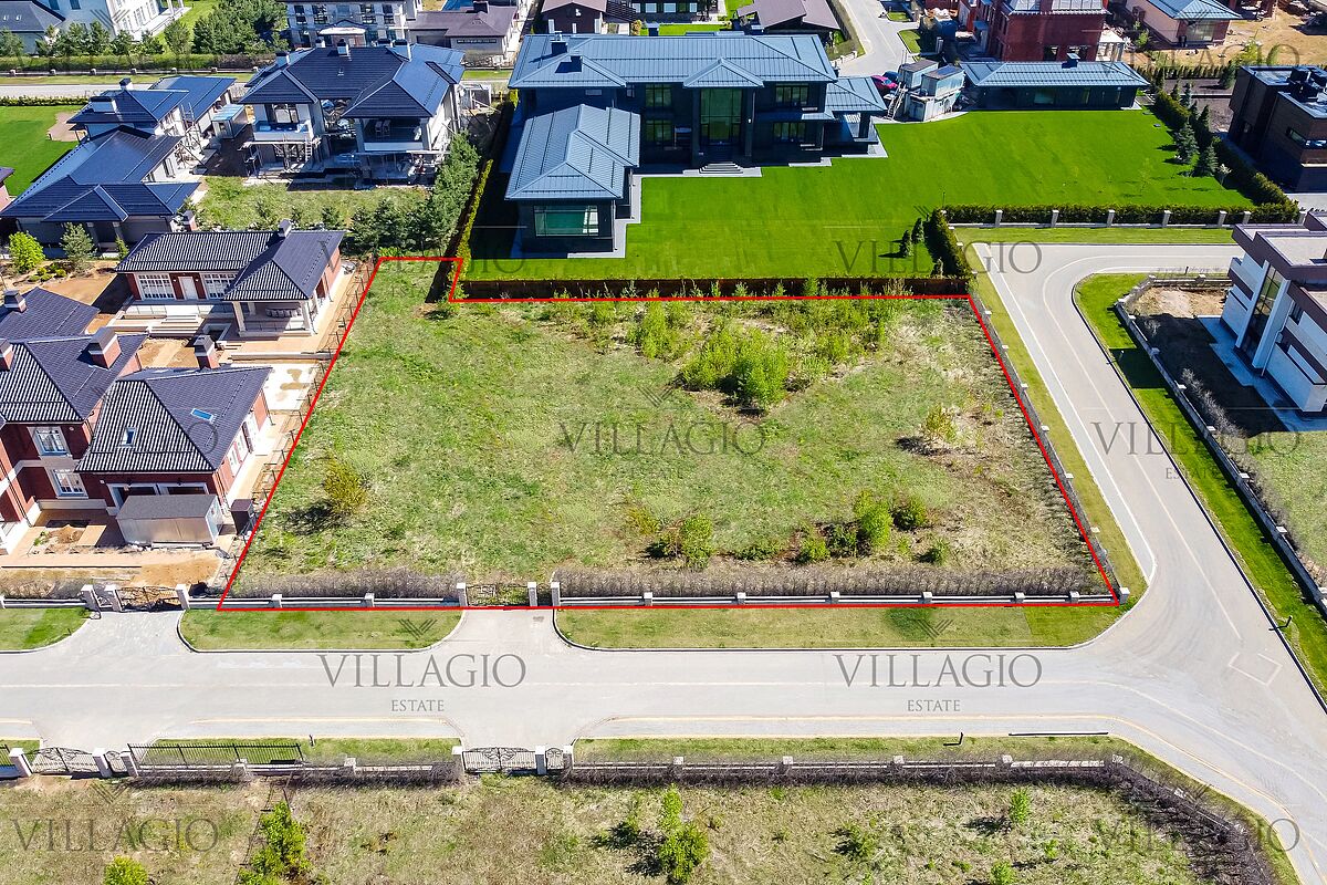 Выбранное изображение