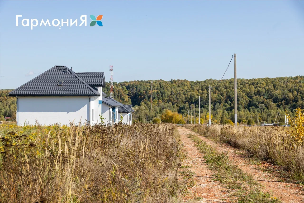 Выбранное изображение