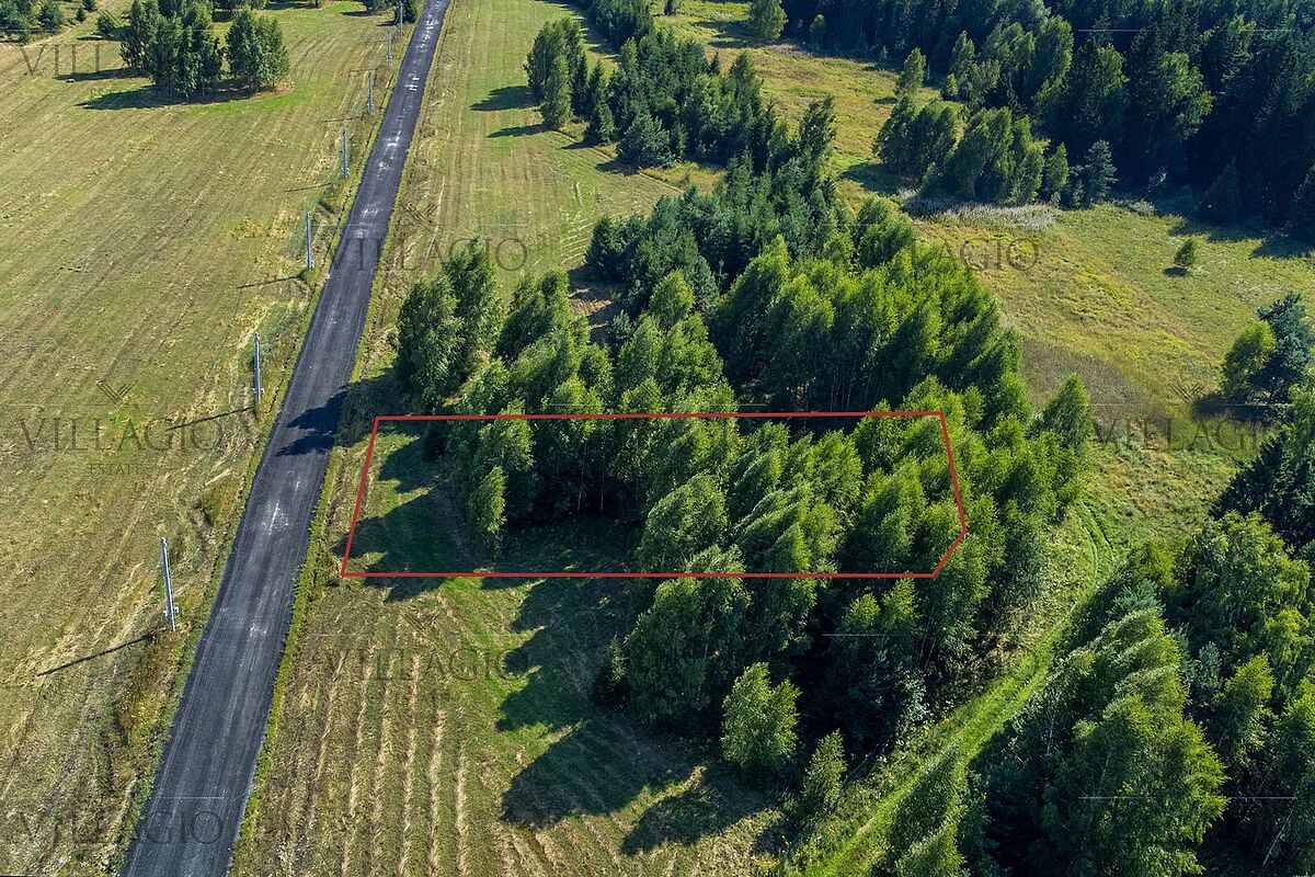 Выбранное изображение