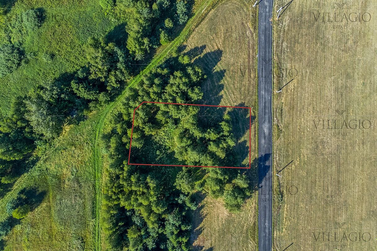 Изображение из списка