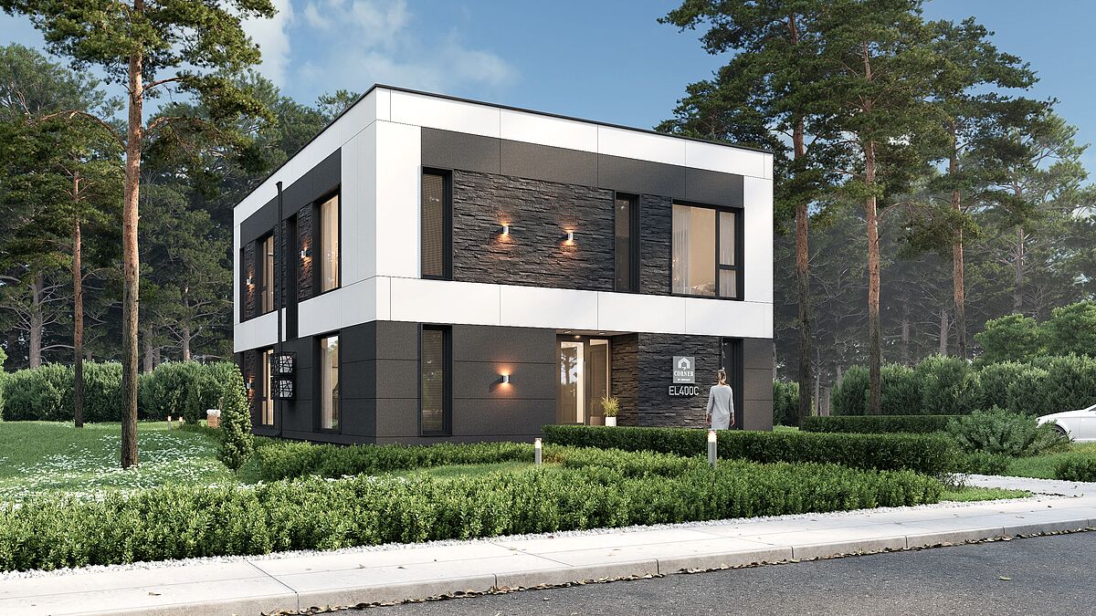 Выбранное изображение