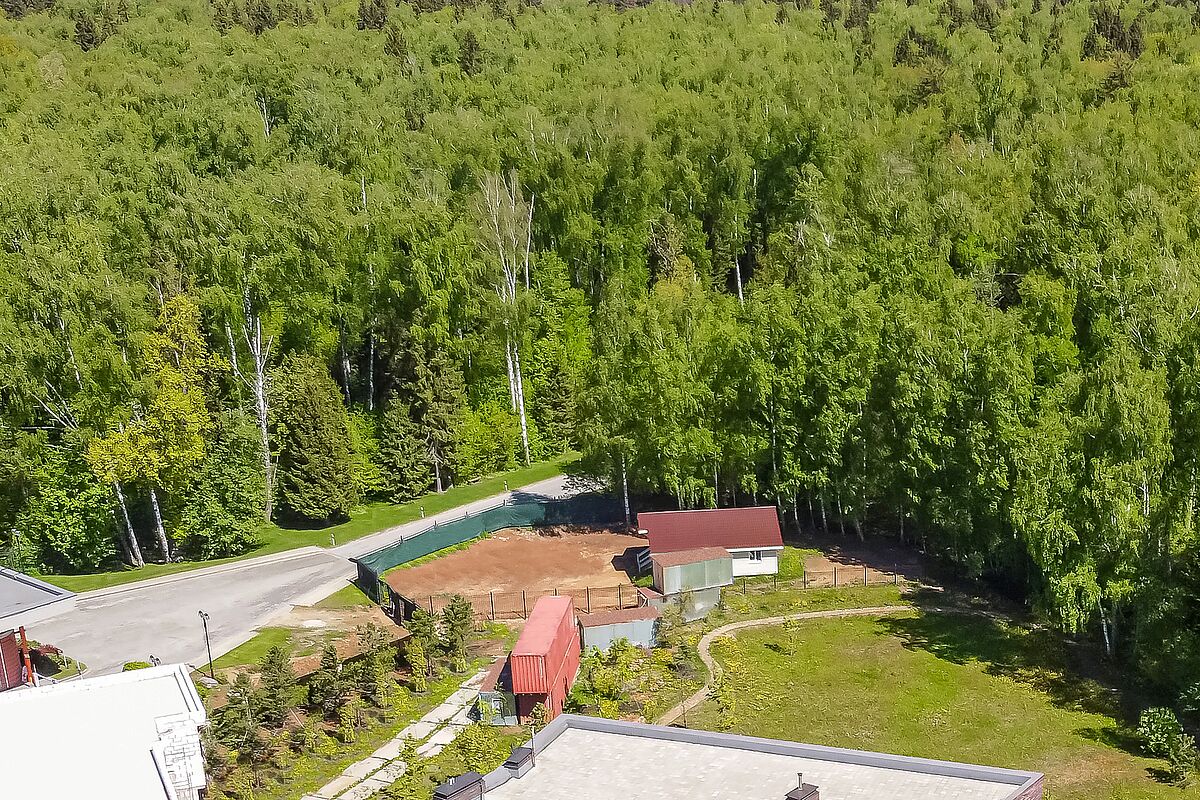 Изображение из списка