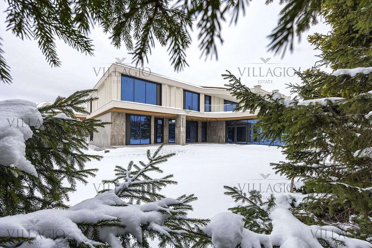 Выбранное изображение