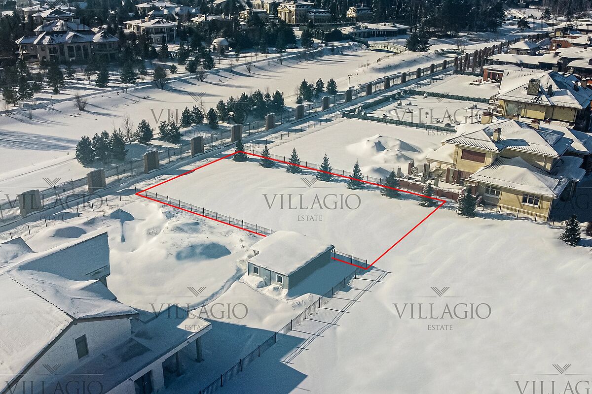 Выбранное изображение