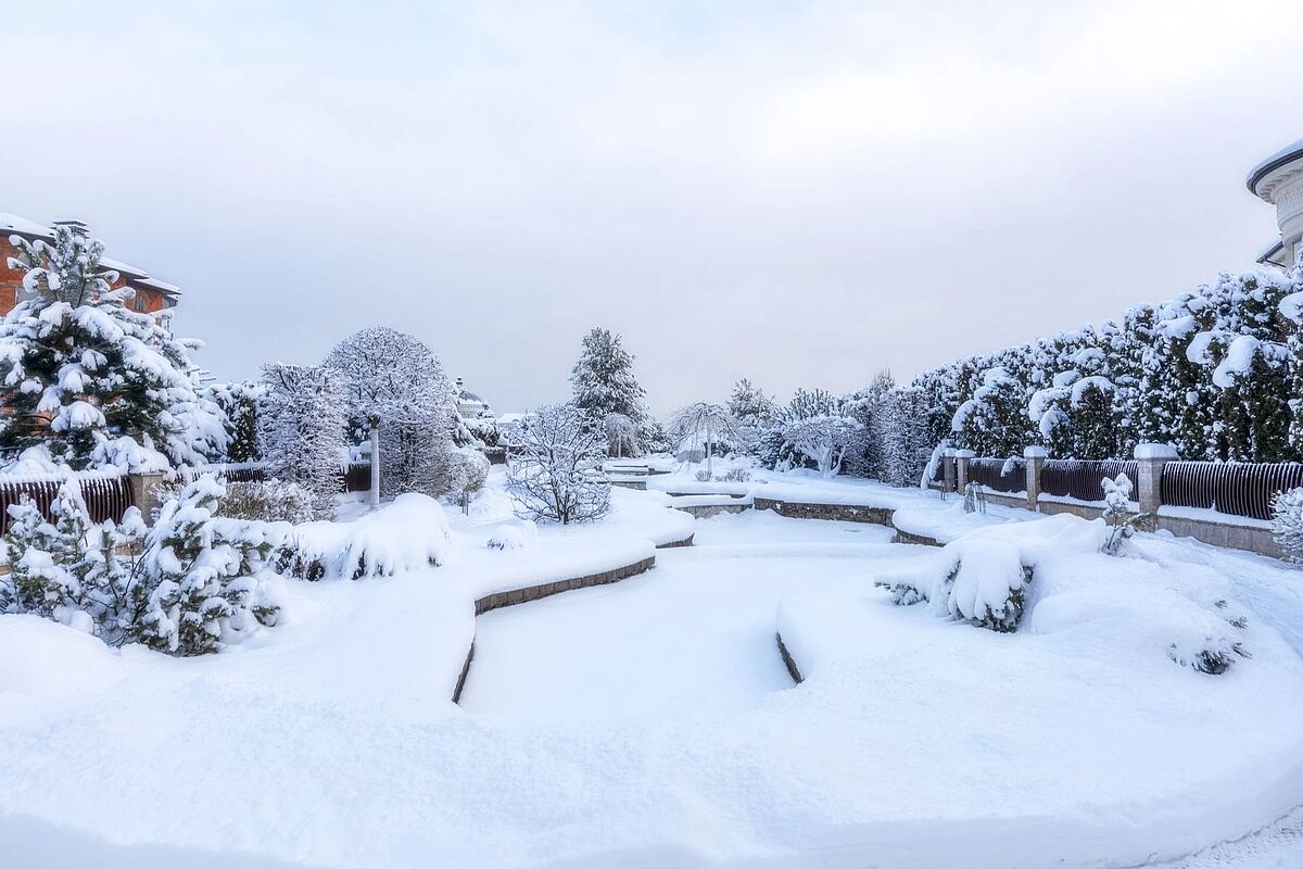 Выбранное изображение