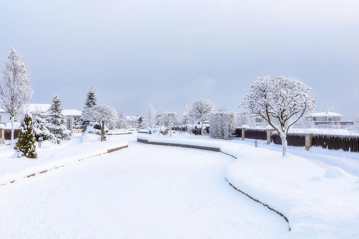 Изображение из списка