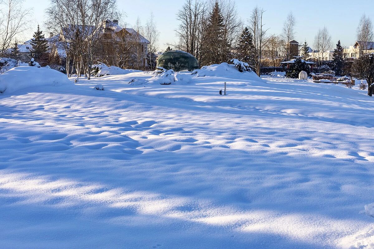 Изображение из списка