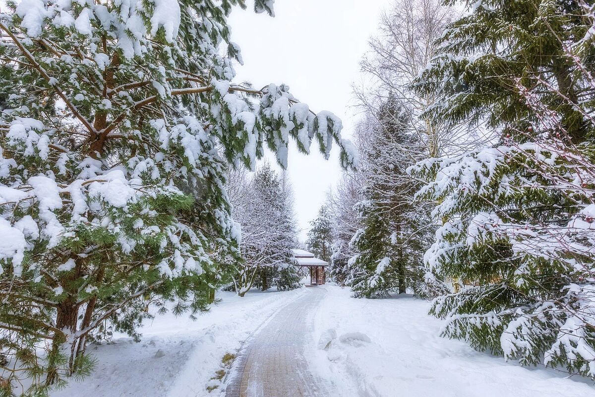 Изображение из списка