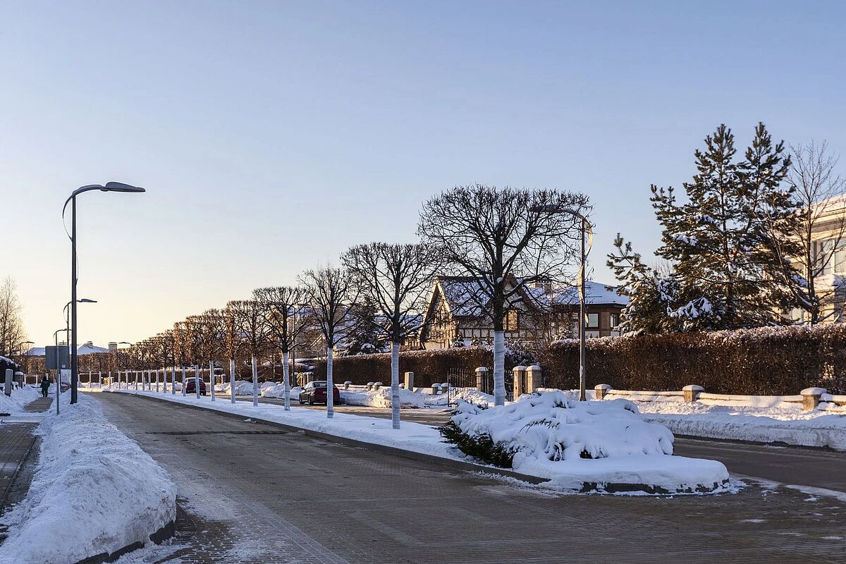 Изображение из списка