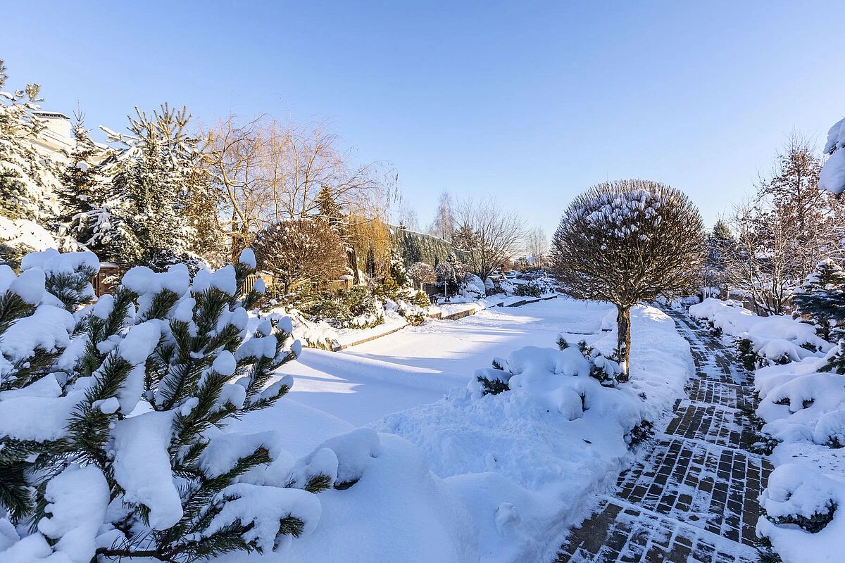 Изображение из списка