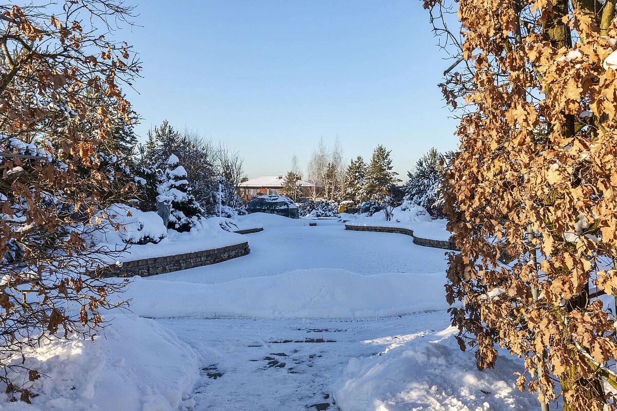 Выбранное изображение