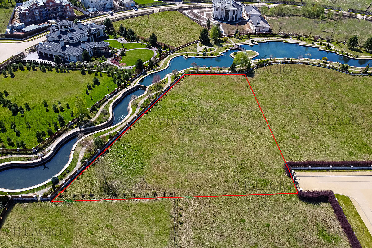 Выбранное изображение