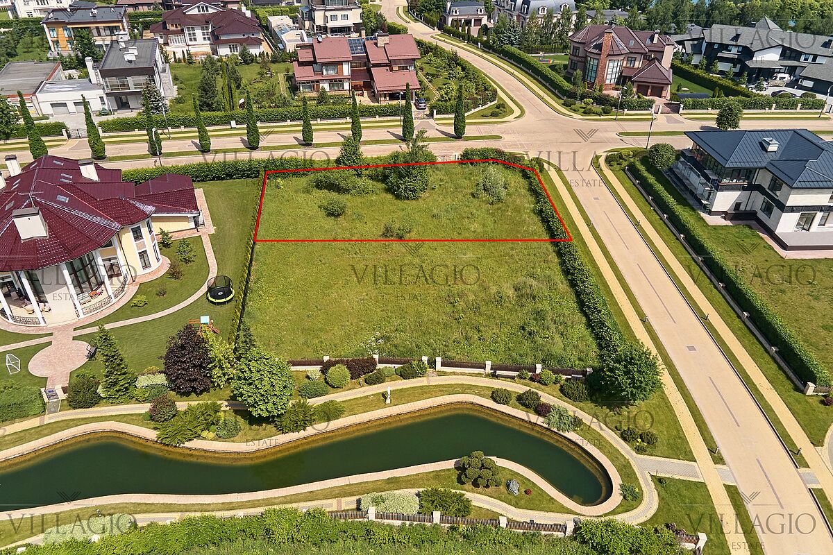 Выбранное изображение