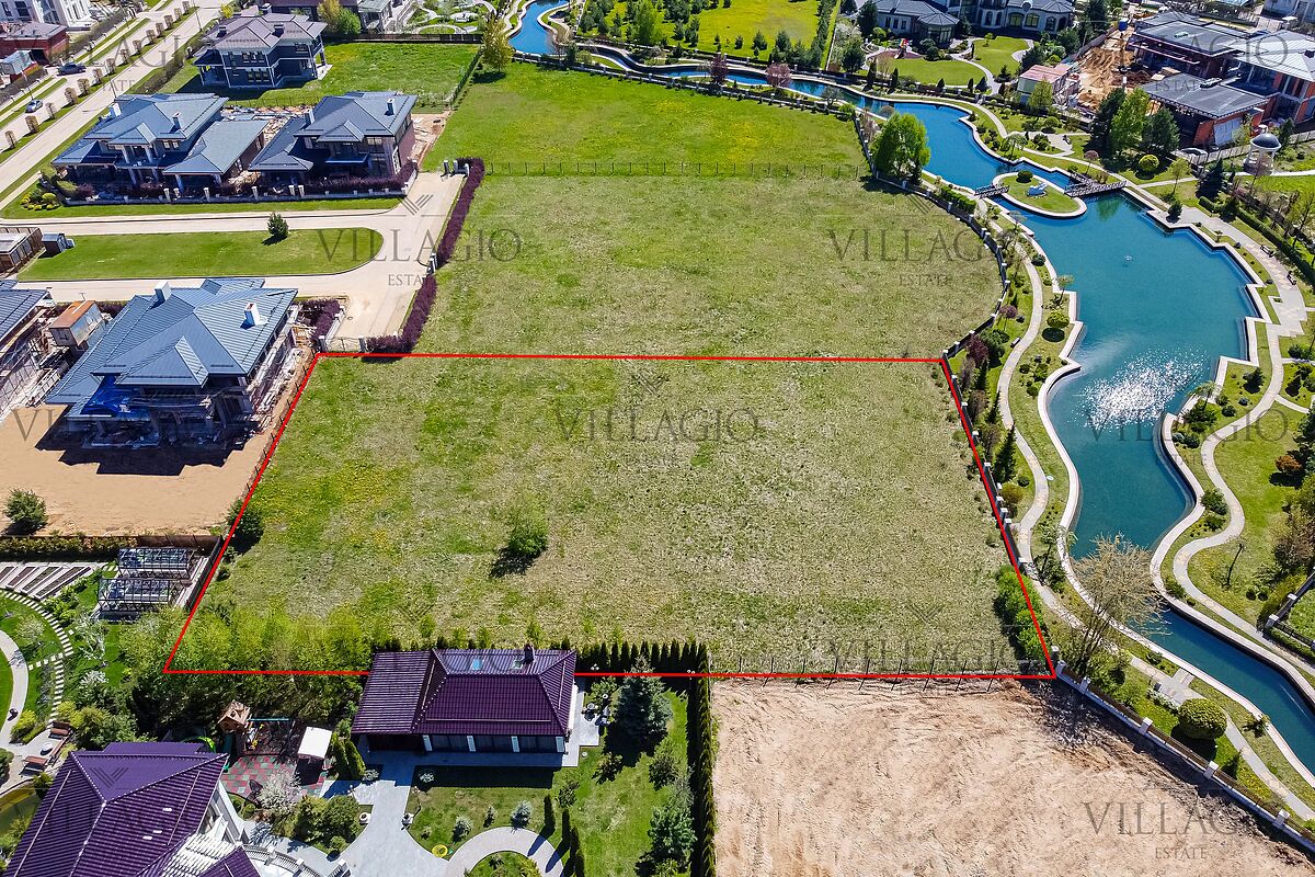 Выбранное изображение