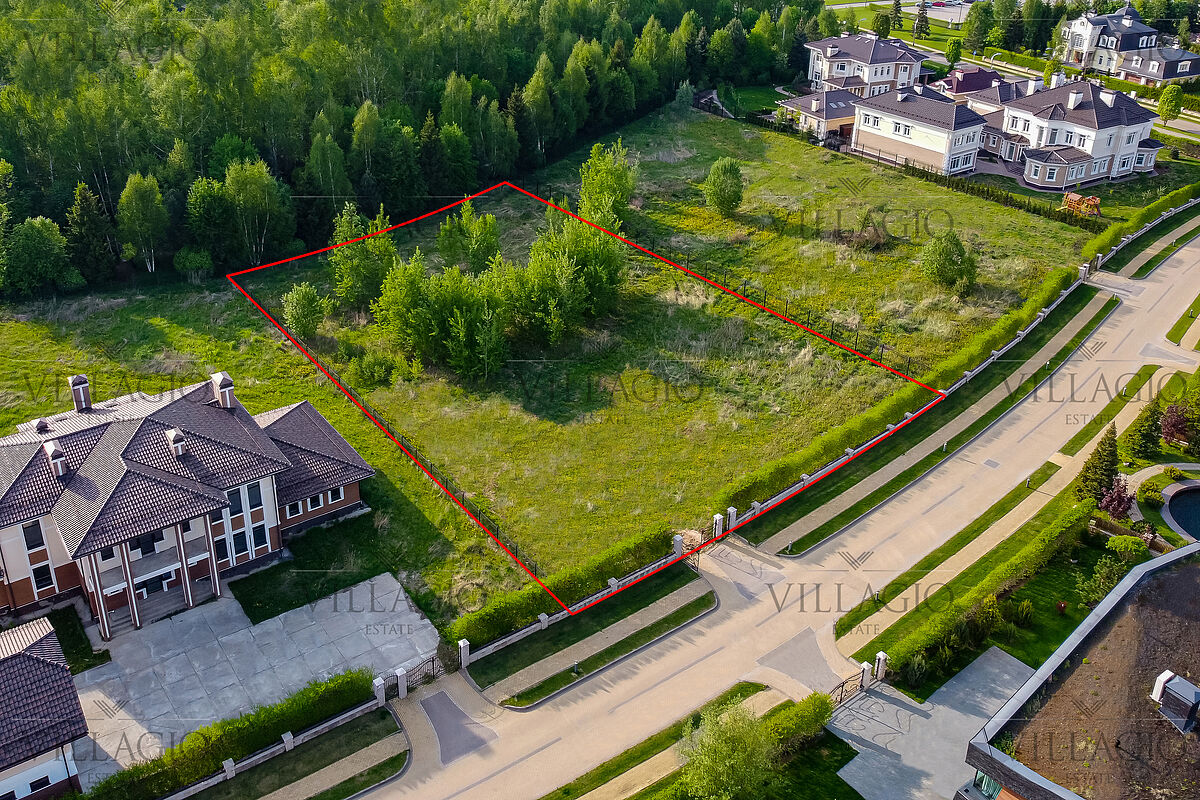 Выбранное изображение