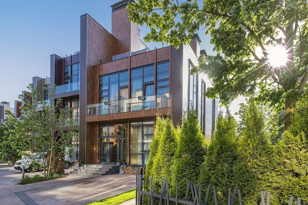 Выбранное изображение