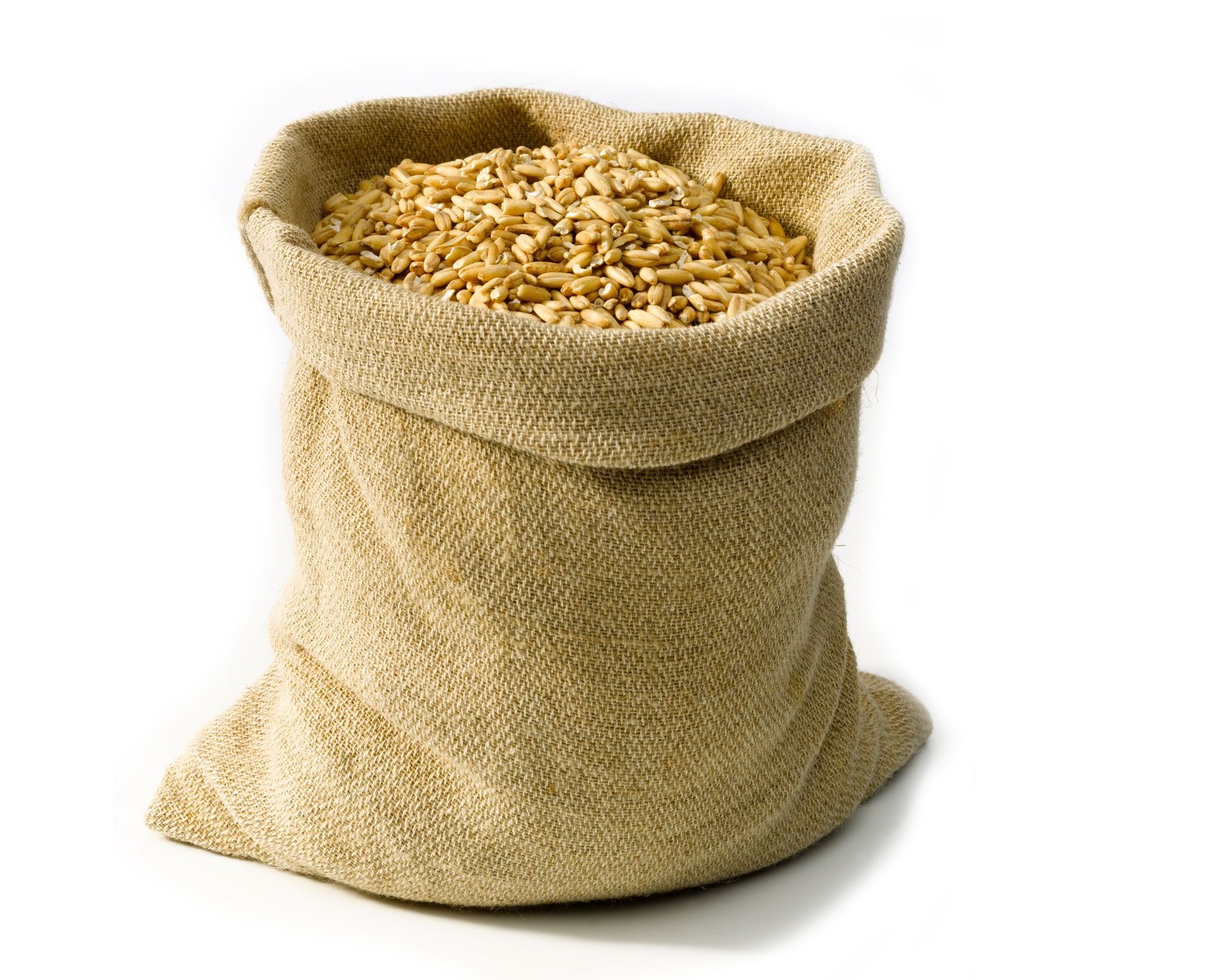 Корма для с/х животных