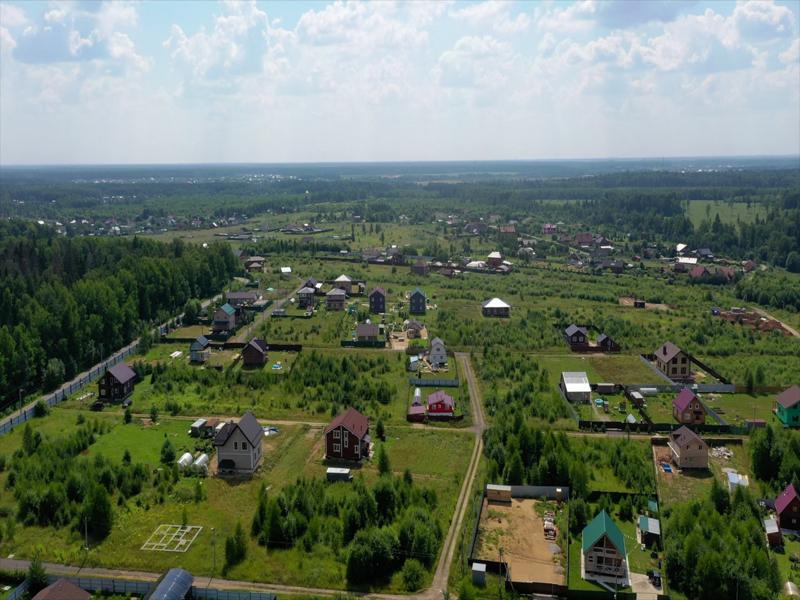 Выбранное изображение