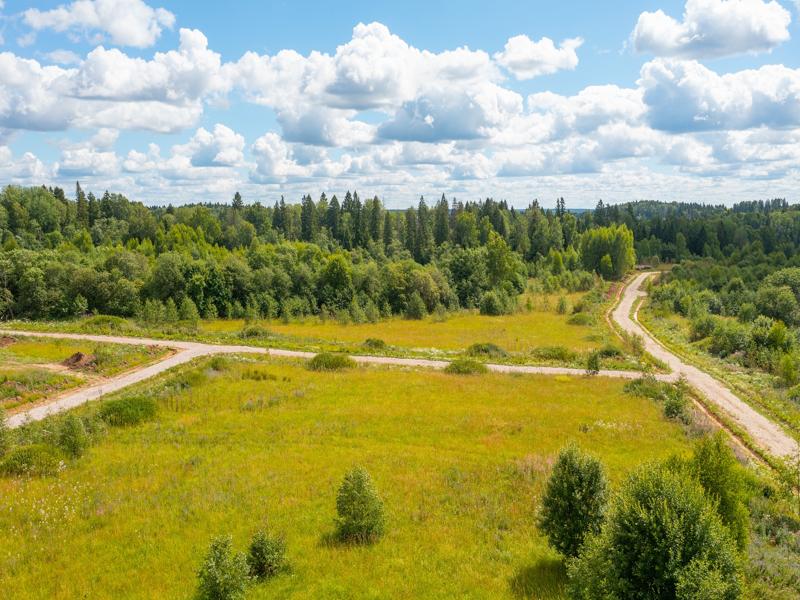 Выбранное изображение