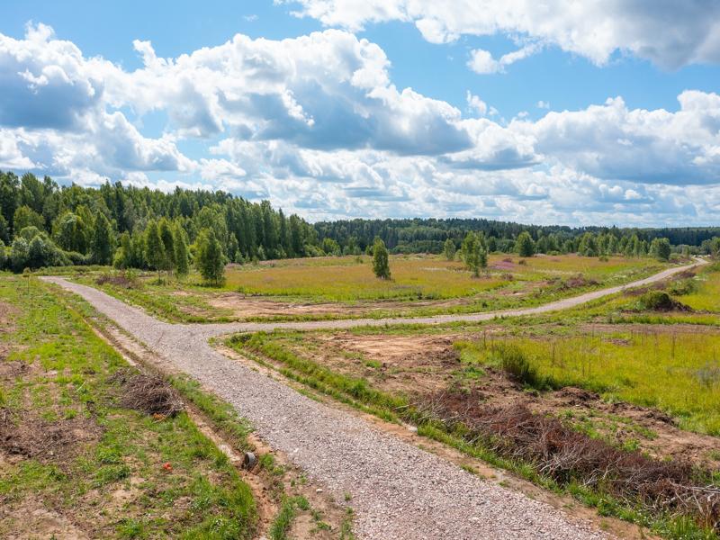 Изображение из списка