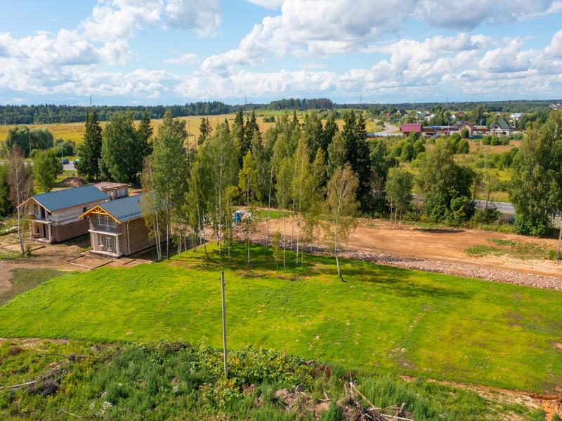 Выбранное изображение