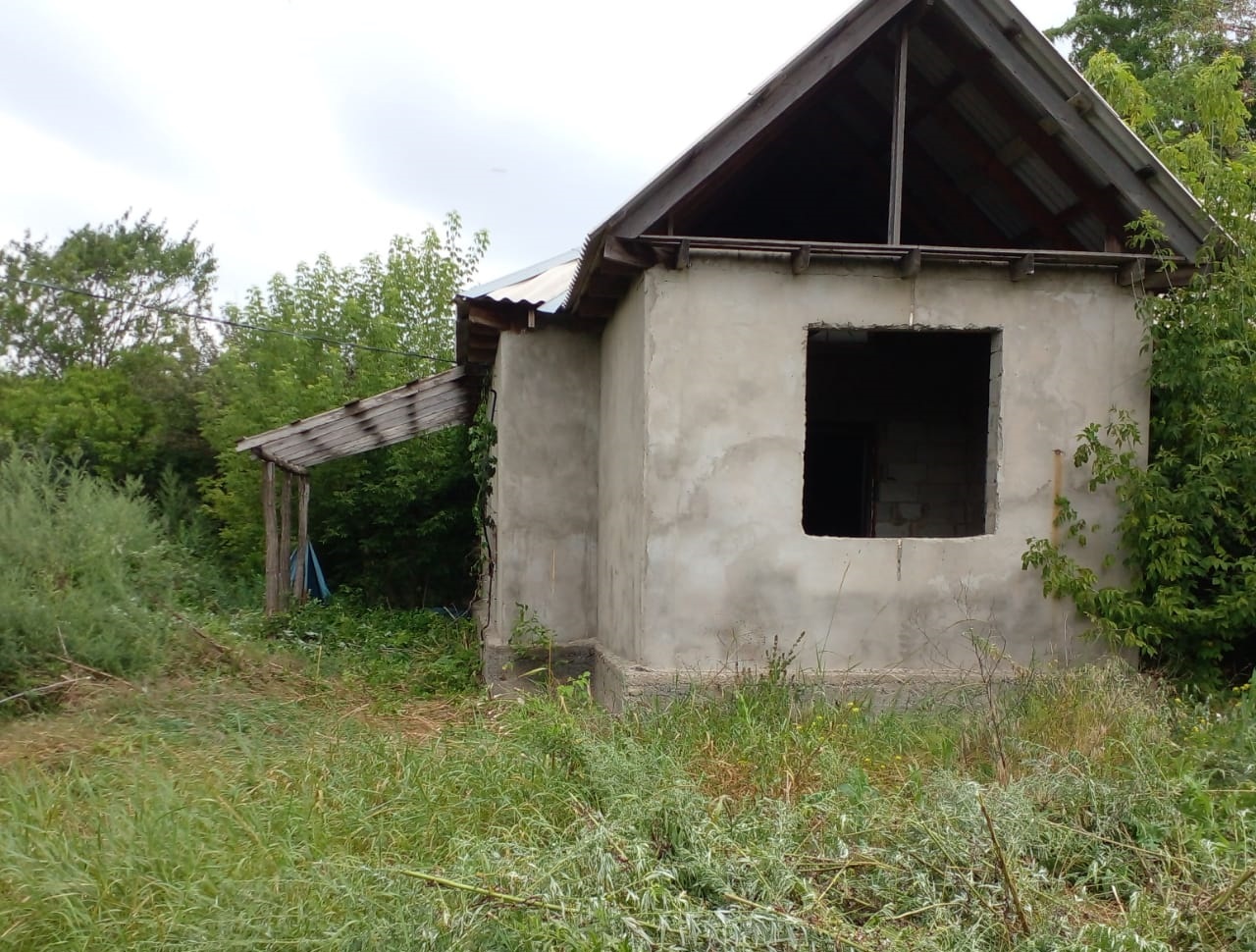 Выбранное изображение